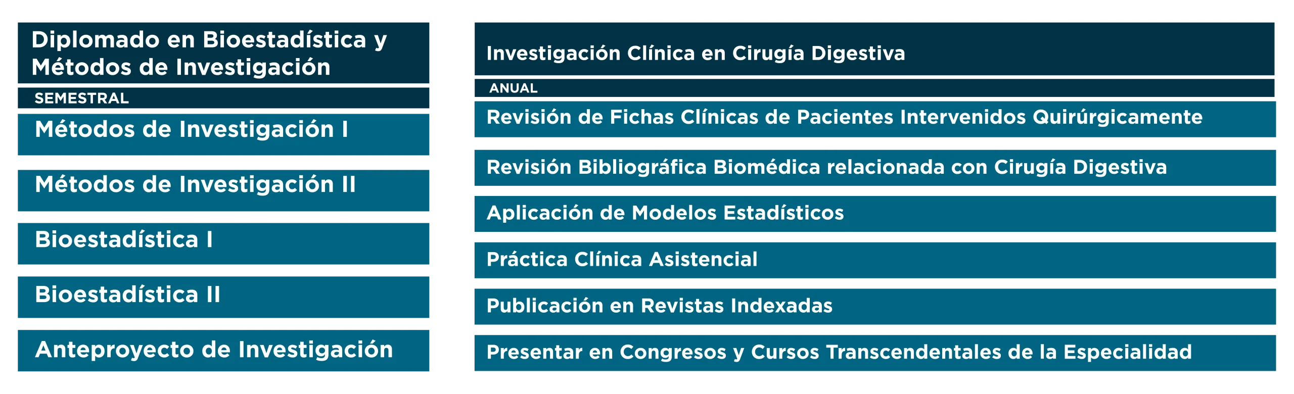 PLAN DE ESTUDIOS FELLOWSHIP CIRUGÍA DIGESTIVA