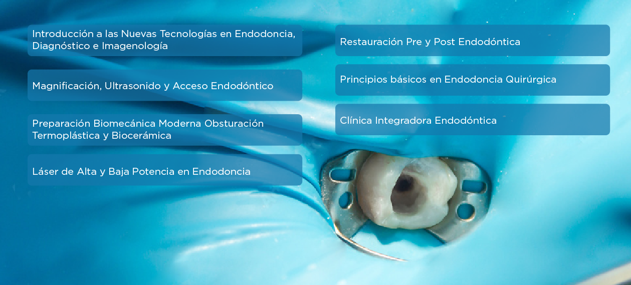 PLAN ESTUDIO ENDODONCIA AVANZADA