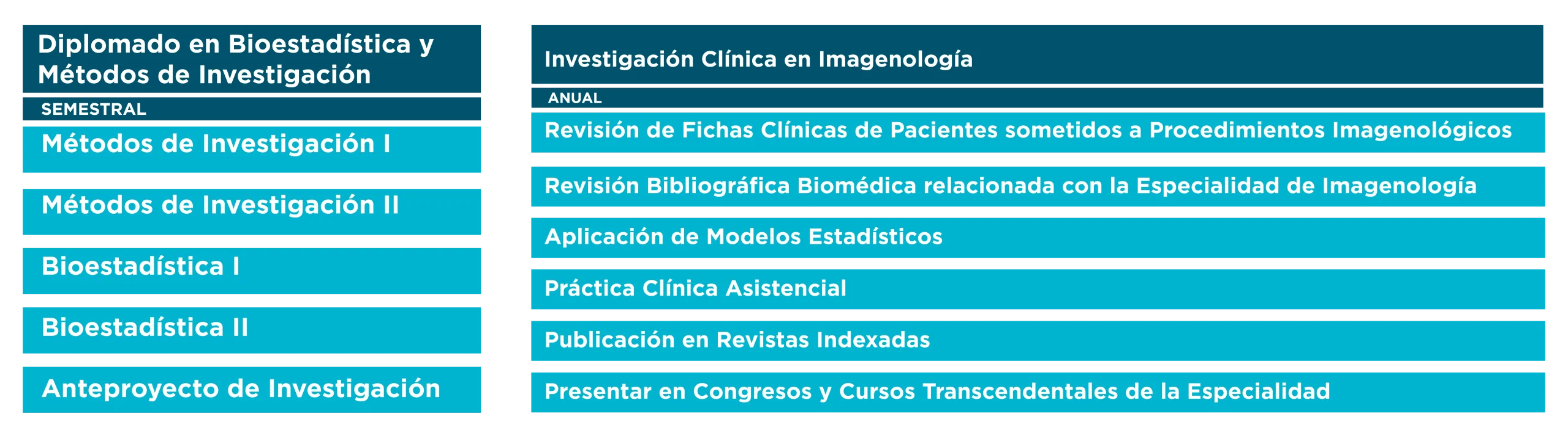 PLAN DE ESTUDIO FELLOWSHIP IMAGENOLOGÍA