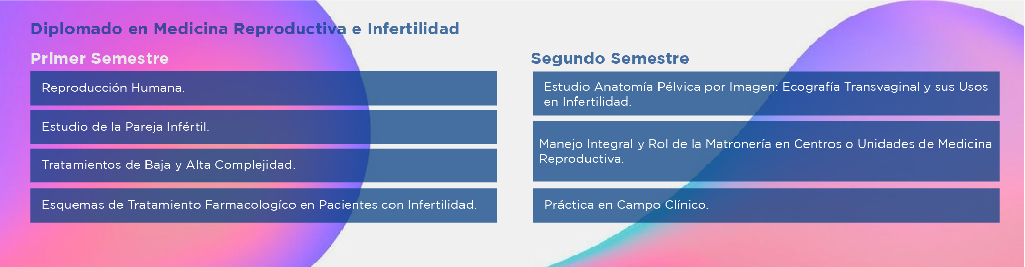 PLAN ESTUDIO MEDICINA REPRODUCTIVA E INFERTILIDAD v2