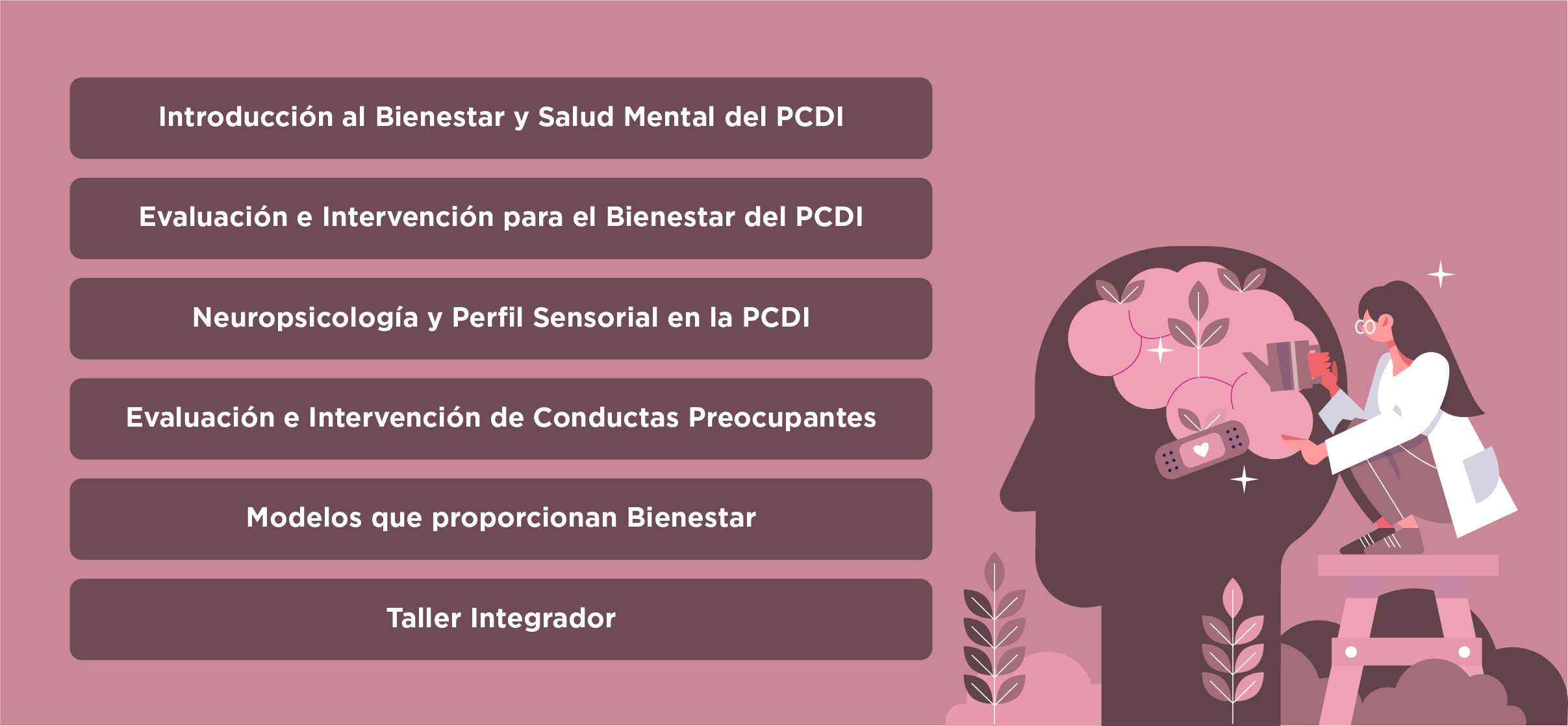 PLAN DE ESTUDIOS SALUD MENTAL