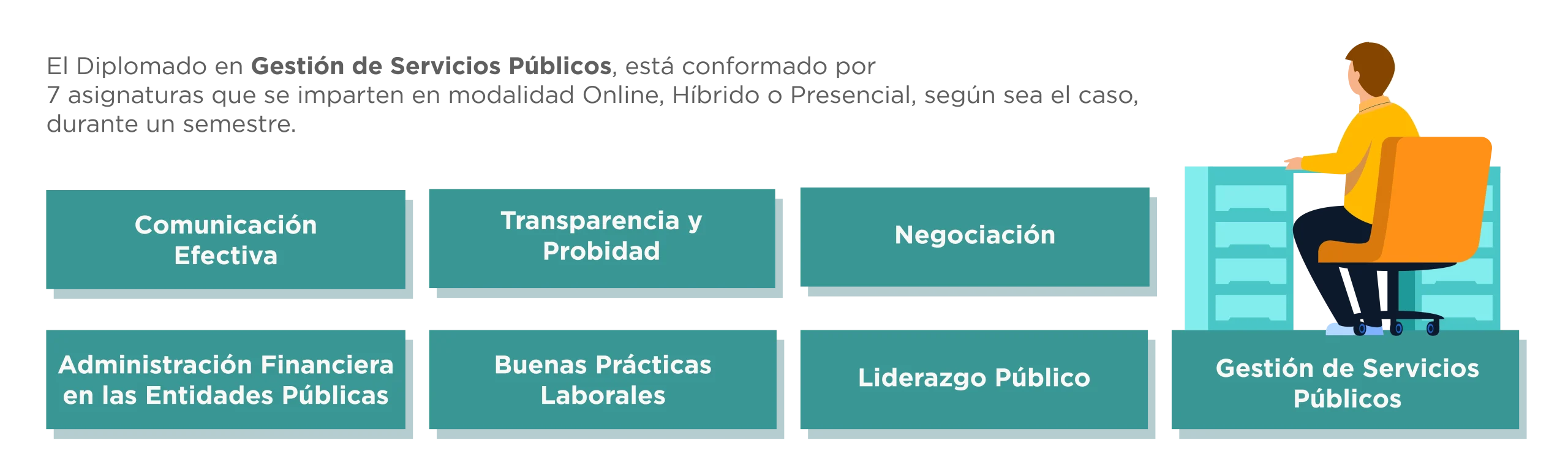 Plan de Estudios Diplomado en Gestión de los Servicios Públicos