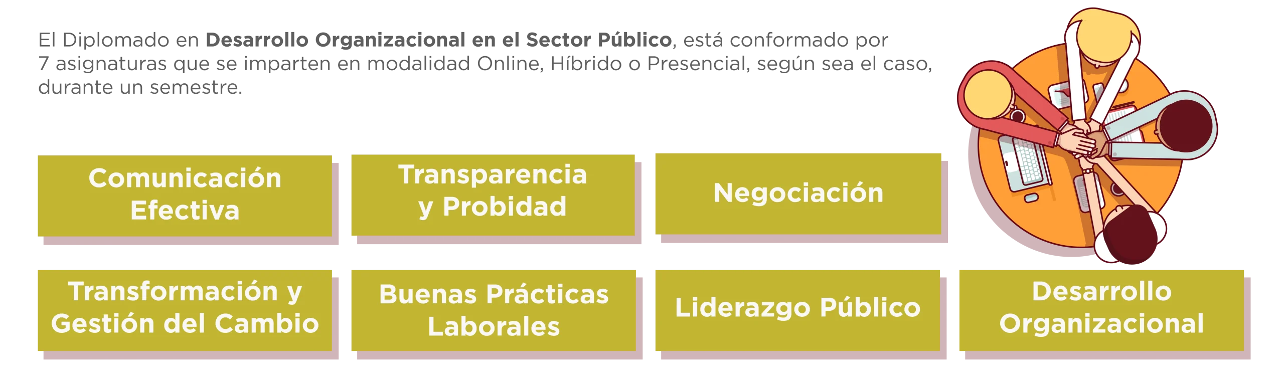 Plan de Estudios Diplomado en Desarrollo Organizacional en el Sector Público 