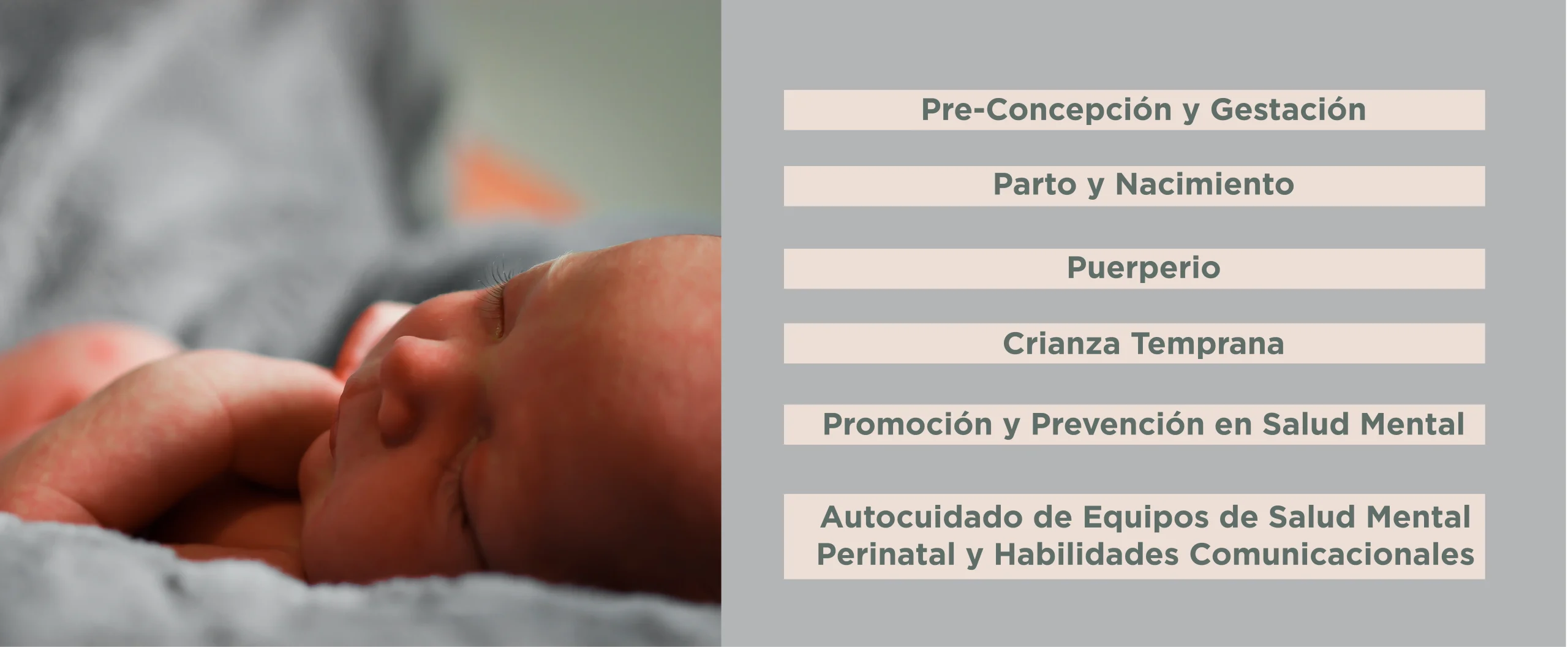 Plan de Estudios Diplomado en Salud Mental Perinatal