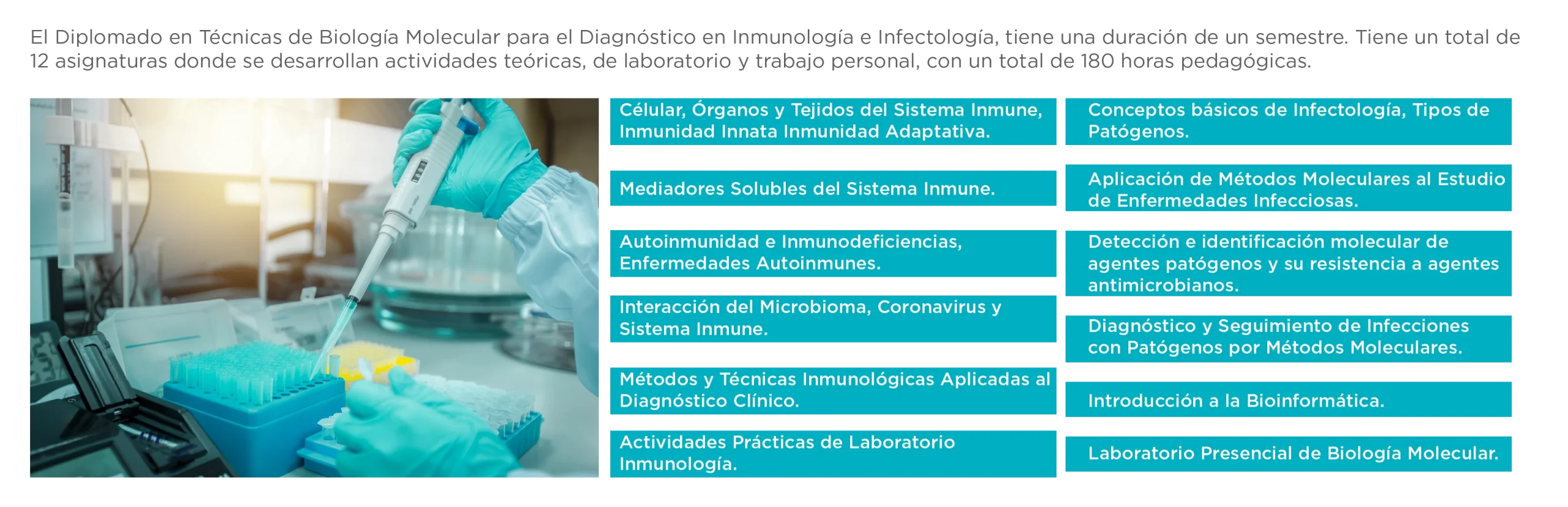 PLAN DE ESTUDIOS BIOLOGÍA MOLECULAR